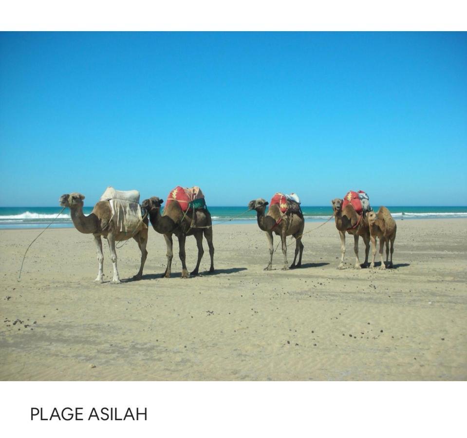 Tanger/Asilah: Appart 50M2 Face Mer Et Piscines, 5 Places, Tout Equipe+Wifi+Clim Apartment Briech Bagian luar foto